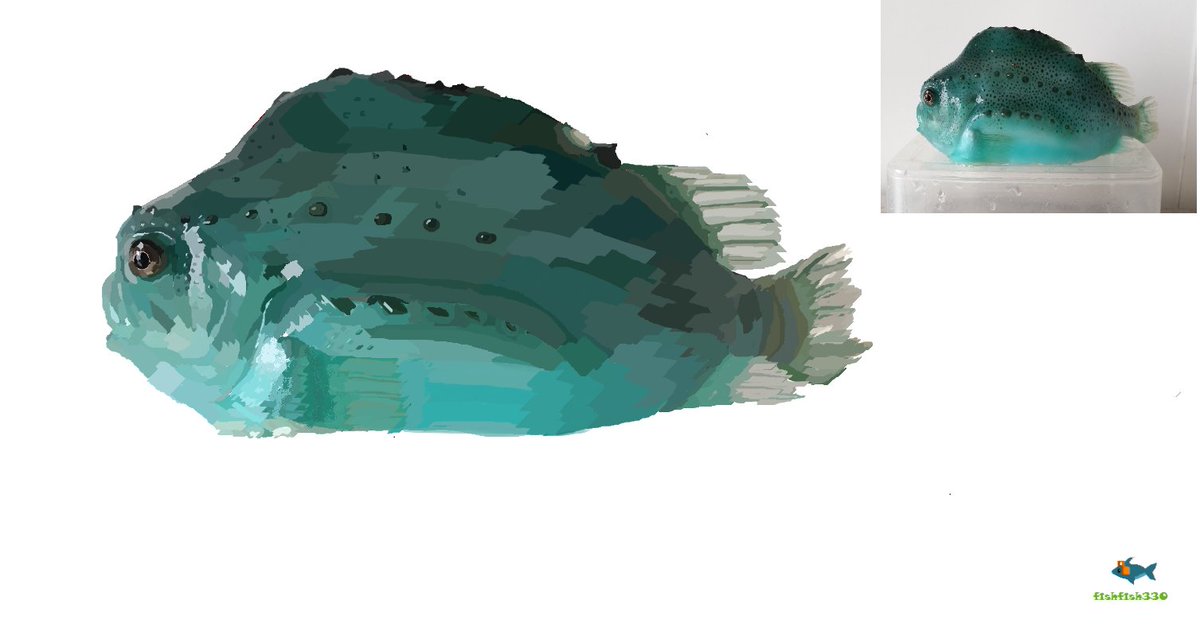 Weird fishes or whatever he said