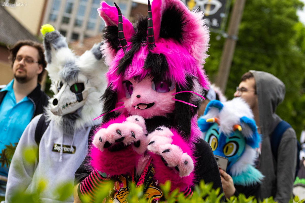 Pink kitty
📸:<a href="/VazulWolf/">Vazul 🔜 Cesfur</a> 
#FursuitFriday