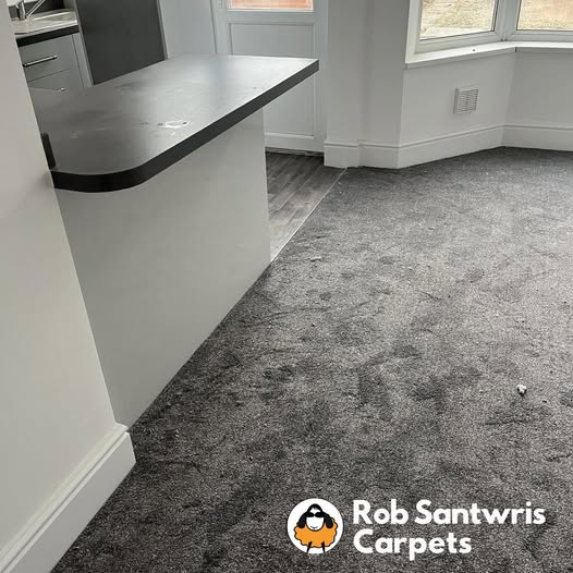 freegripper's tweet photo. A stylish contrast between soft carpet and practical vinyl – perfect for this open-plan layout 👌
Free measure, quote and GRIPPER every time!
📲 01633 253724
🌐 https://t.co/Kz6UyN3652
#RobSantwrisCarpets #FlooringExperts #VinylAndCarpet #NewportHomes #FreeGripper #SupportLocal https://t.co/0jwu2tXofF