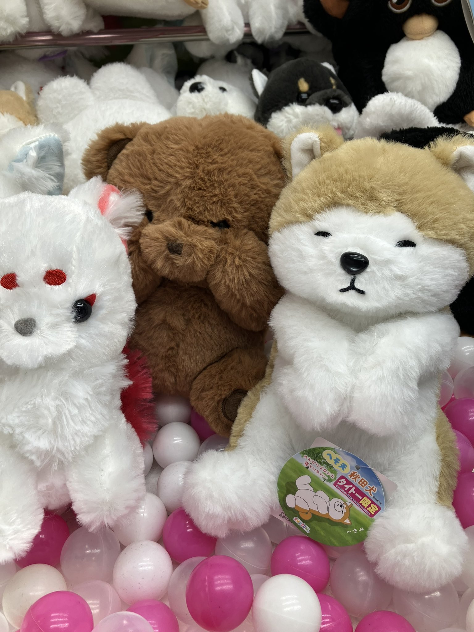 へそ天　秋田犬　コンパクトJB　ぬいぐるみ　白　茶色　オレンジ　タイトー限定 へそ天 秋田犬 コンパクトJB ぬいぐるみ オレンジ タイトー限定