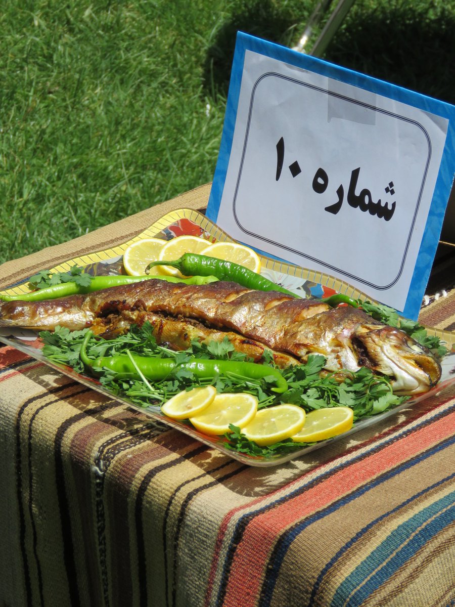 اینجا هر ماهی، با یه قصه سرو می‌شه؛ قصه‌ی نیر، قصه‌ی زندگی.
#رویش_نیر #جشنواره_آبزیان_نیر
