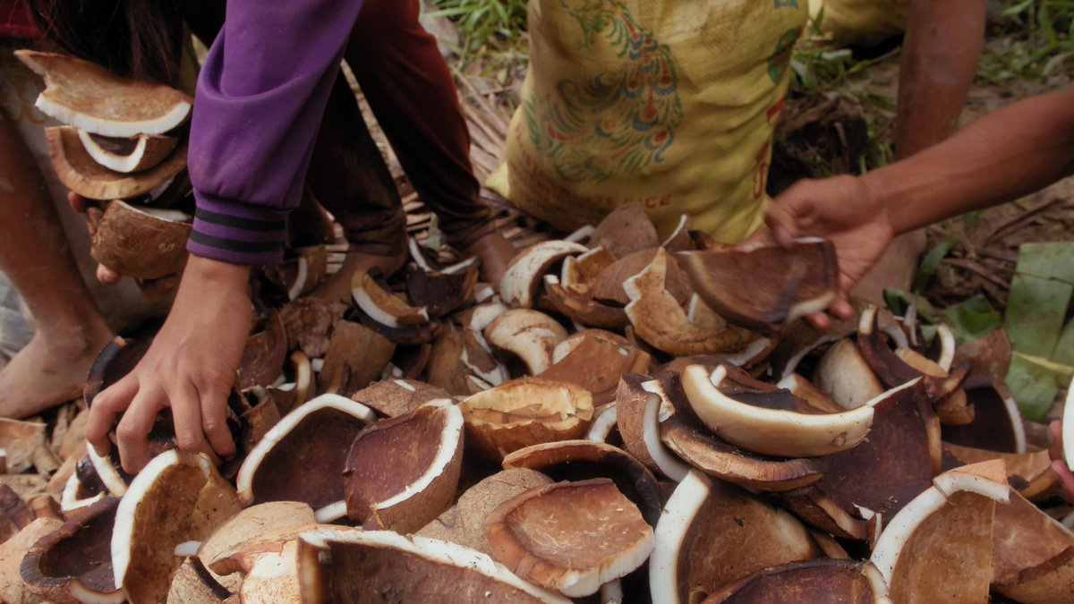 MGA BATA, NAGBUBUHAT NG KOPRA AT DUMARAAN SA MASUKAL NA BUNDOK PARA MAKATULONG SA PAMILYA. 

Abangan ang kanilang kuwento sa pinakabagong dokumentaryo ni Atom Araullo na #PangarapKongSapatos sa #IWitness ngayong Sabado, 10:15 PM sa GMA Network.