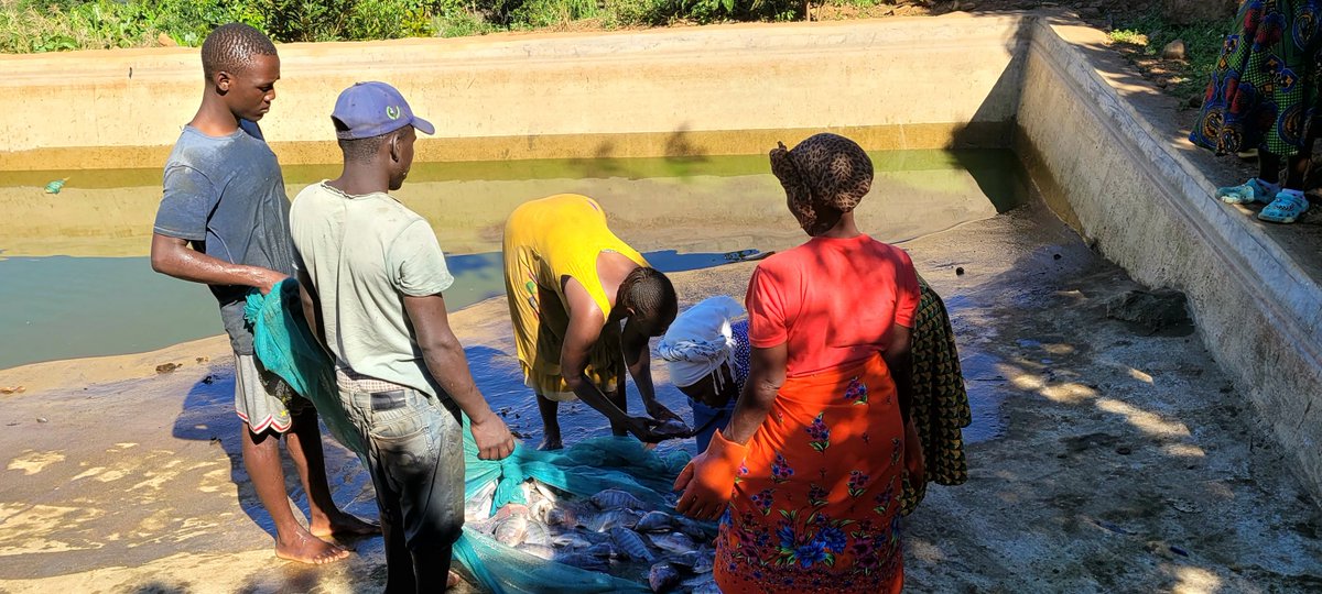 _TSUROTrust's tweet photo. A delegation from the Global Environment Facility Small Grants Programme Zimbabwe, Comprising, GEF National Coordinator Tsitsi Wutawunashe and Trainee Programme Associate Luckson Chapungu, Government Officials conducted a monitoring visit to appreciate project update. https://t.co/90hMSAl3R2