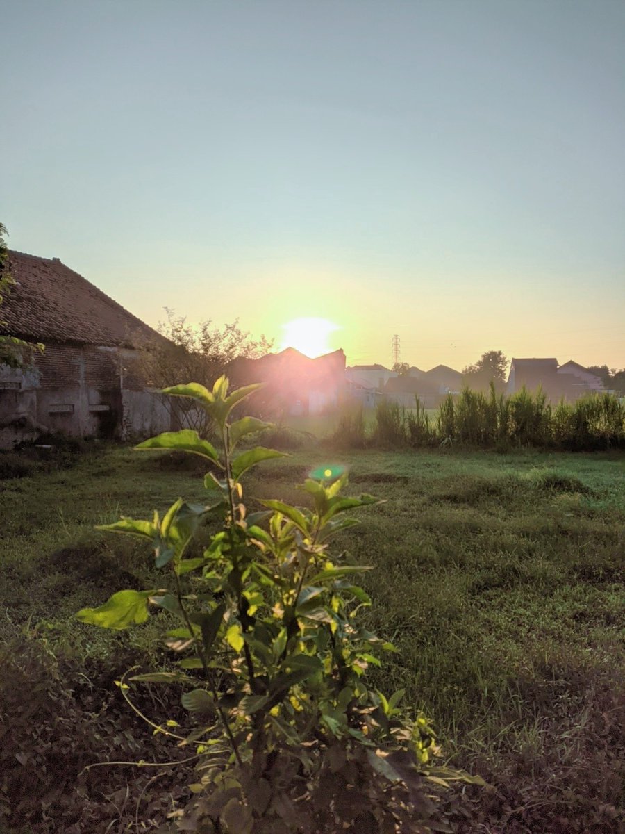 apurnm's tweet photo. Today i walked around 9km https://t.co/cFJCejfcwT