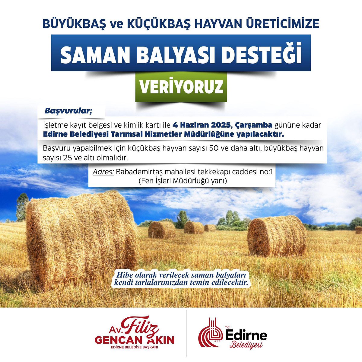 Edirne Belediyesi’nden Küçük Ölçekli Hayvancılığa Destek! 🐄🐑

Kentimizde büyükbaş ve küçükbaş hayvan yetiştiriciliği yapan küçük ölçekli çiftçilerimize saman balyası hibe desteği sağlıyoruz!

📍 Belediyemize ait 210 dönüm buğday ve 80 dönüm arpa tarlasından elde edilen