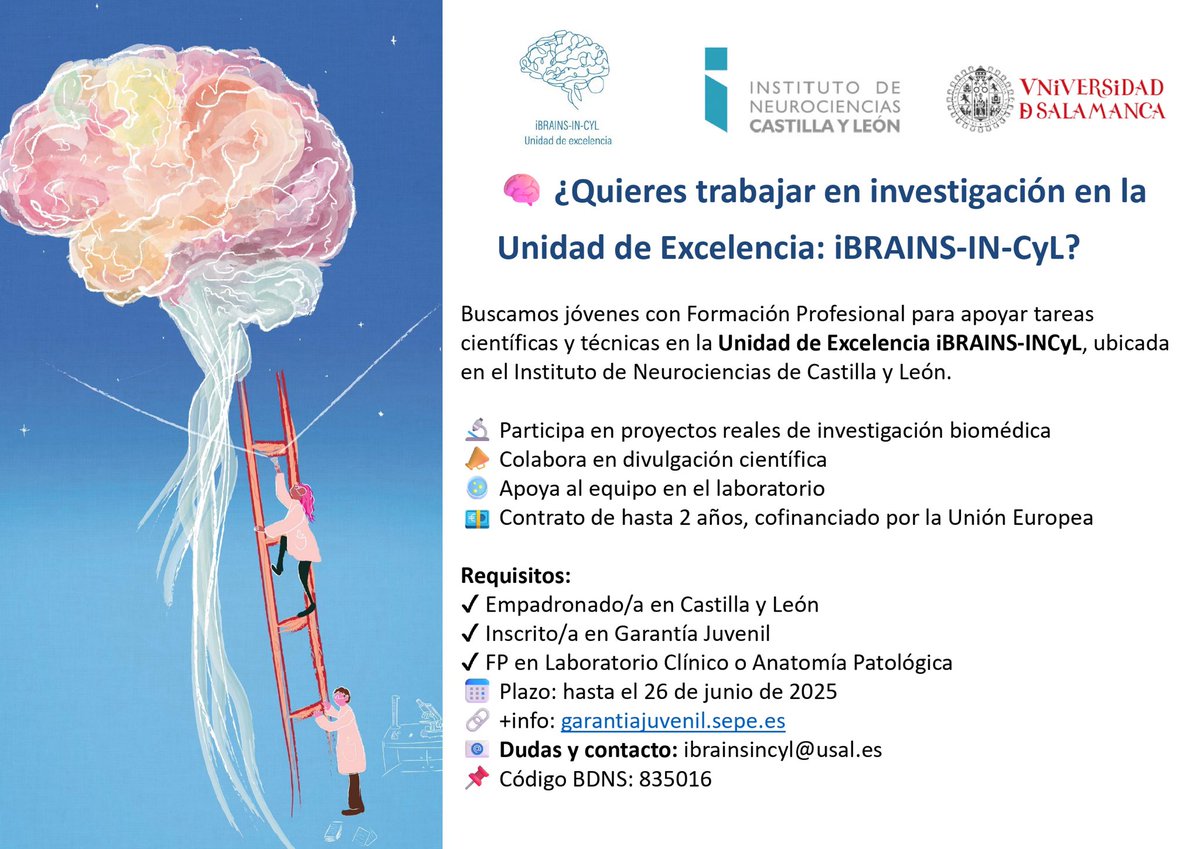 ⁦<a href="/SENC_/">SENC</a>⁩ ⁦<a href="/REDOLFATIVA/">RedOlfativaEspañola</a>⁩ ⁦<a href="/Incyl_Usal/">INCYL</a>⁩