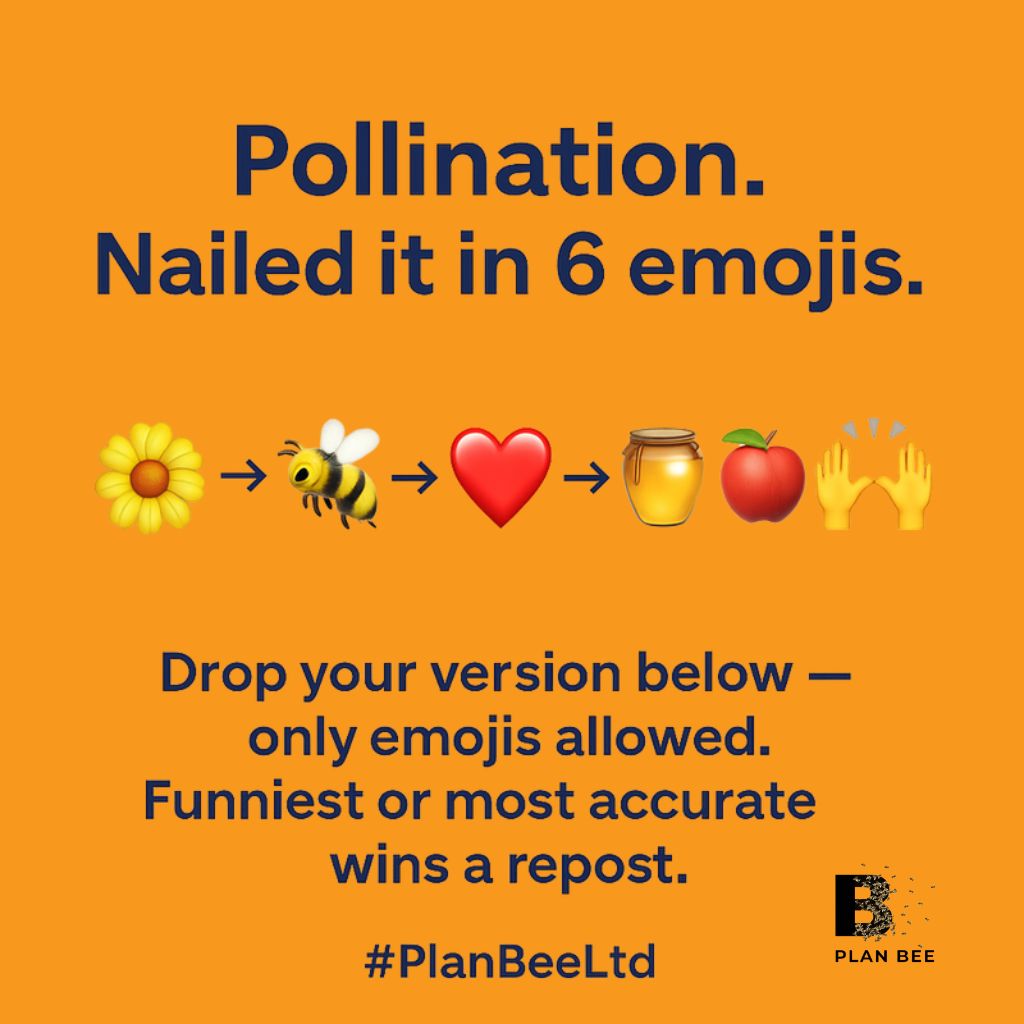 planbeeltd's tweet image. 🌼 🐝 ❤️ 🍯 🍎 🙌
Now it’s your turn.
Drop your version using only emojis — no words allowed.
Funniest, smartest or most accurate wins a repost.
Let’s get pollen-tical about it.
#PlanBeeLtd #PollinationChallenge #FridayFun #PollinatorPower#EmojiOnly #SustainableLiving