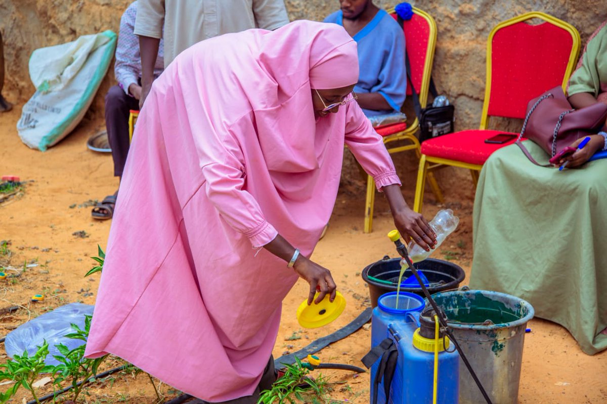 Cipmen's tweet image. 📸 Retour en images sur la formation 100 % pratique tenue les 23 &amp;amp; 24 mai à #Muje_Gona, en partenariat avec @JacigreenAFR .
🎯 Au programme : fabrication de biopesticides et biofertilisants naturels pour une agriculture plus durable et économique. 🌿💧 
#Agroécologie #BioInputs
