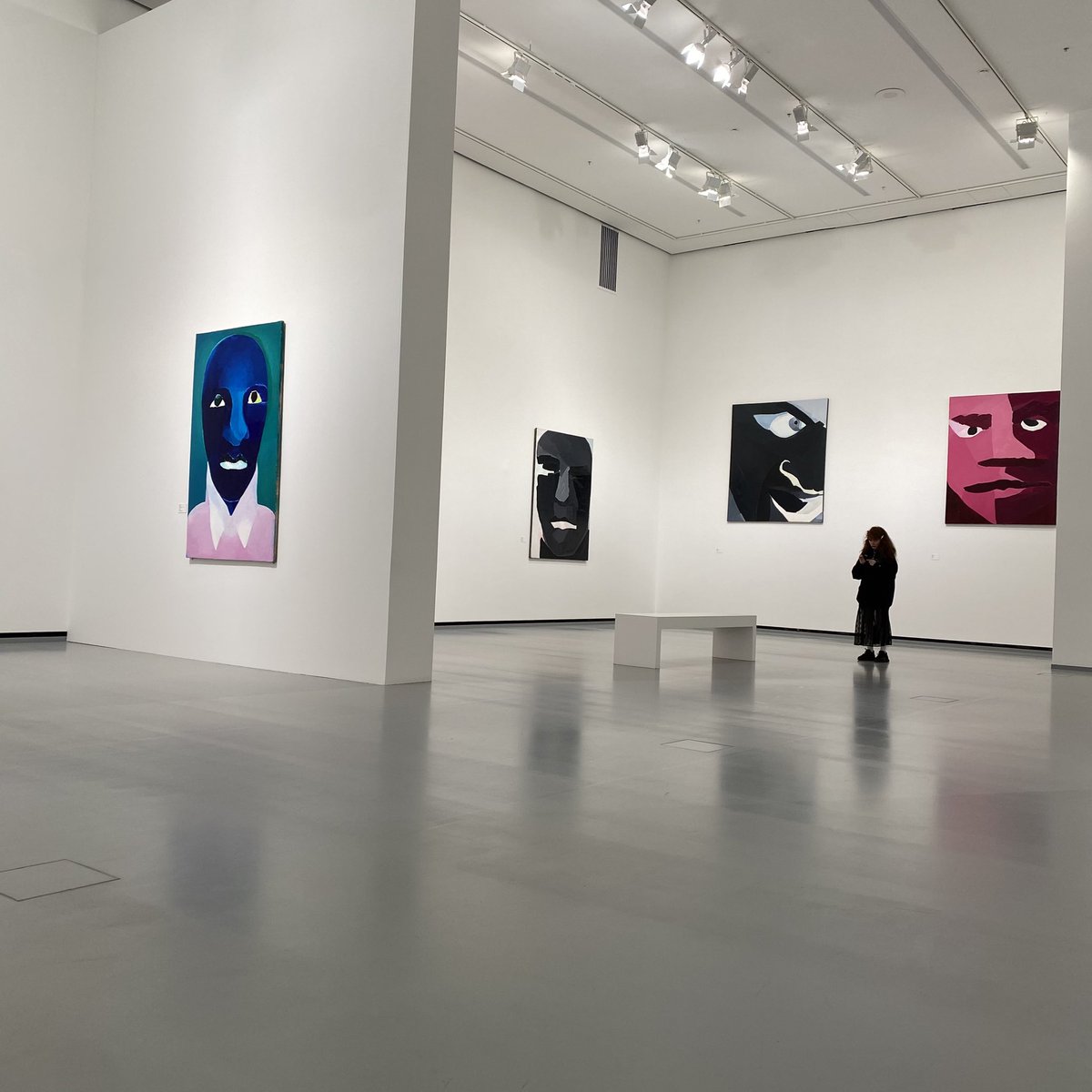 У Натальи Турновой (нашей М. Дюма и продолжения морд О. Целкова на новом этапе) в ММАМ висит почти два десятка новых работ. Большие, яркие, красивые в своей некрасивости холсты. Но хочется больше: помню 3 этажа Палаццо Грасси завешанных Дюма. Вот и Турновой должно быть не меньше