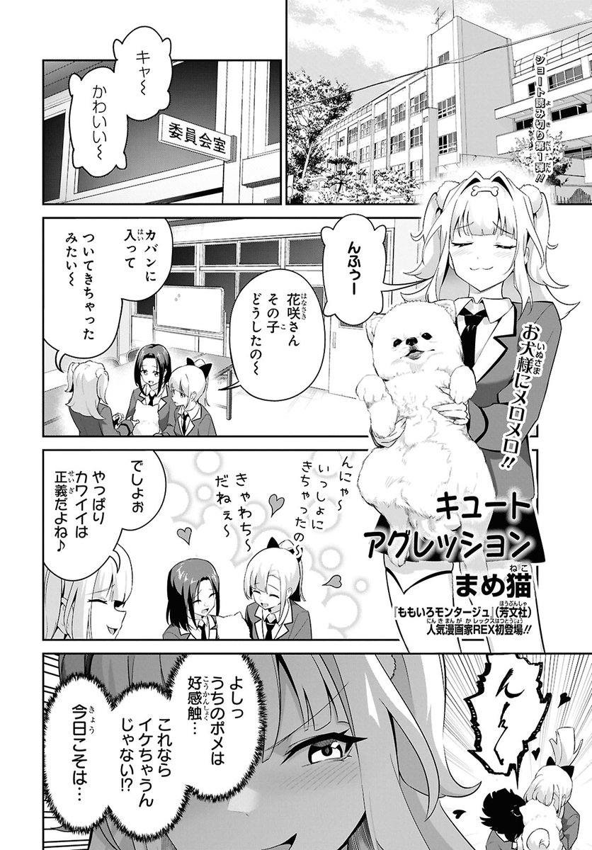 ポメラニアンの可愛さを押しつけるお話（1/4）

#漫画が読めるハッシュタグ