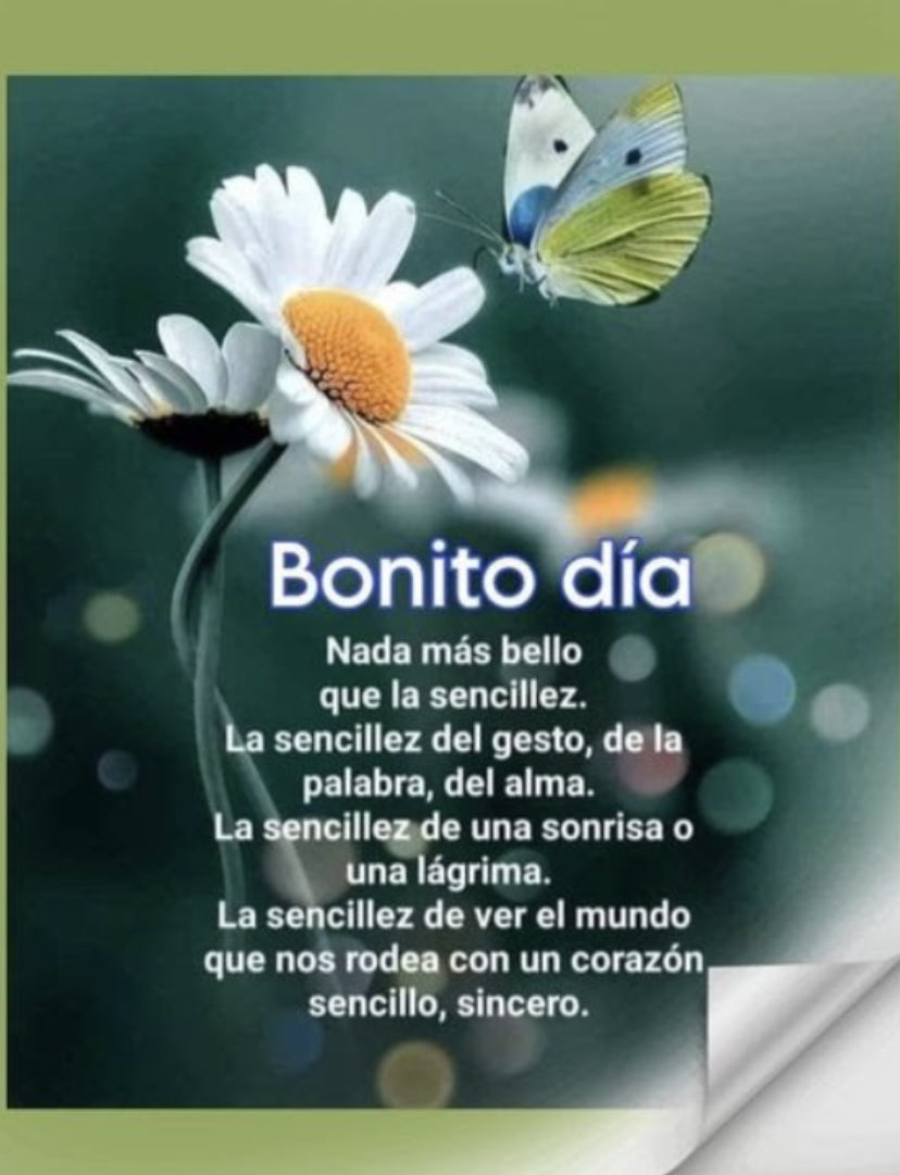 🌹🌈🌹BONITO. DÍA ……………..
🌹NADA MÁS …………………………
🌹LA. SENCILLEZ…………………
🌹LA SENCILLEZ DE…………….
🌹LA SENCILLEZ…………………..
🌹CON  UN…………………🌹🌈🌹