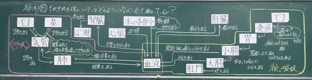nh_0806's tweet image. 6年「血液と臓器」:学習した体のつくりに関するキーワードを挙げて,それらがどのように繋がり合って働いているか説明する活動を設定します。発表された意見はコンセプトマップ化していきます。完成したマップを見ると,臓器が血液を通じて関わり合っていることが視覚的にわかりやすくなります。