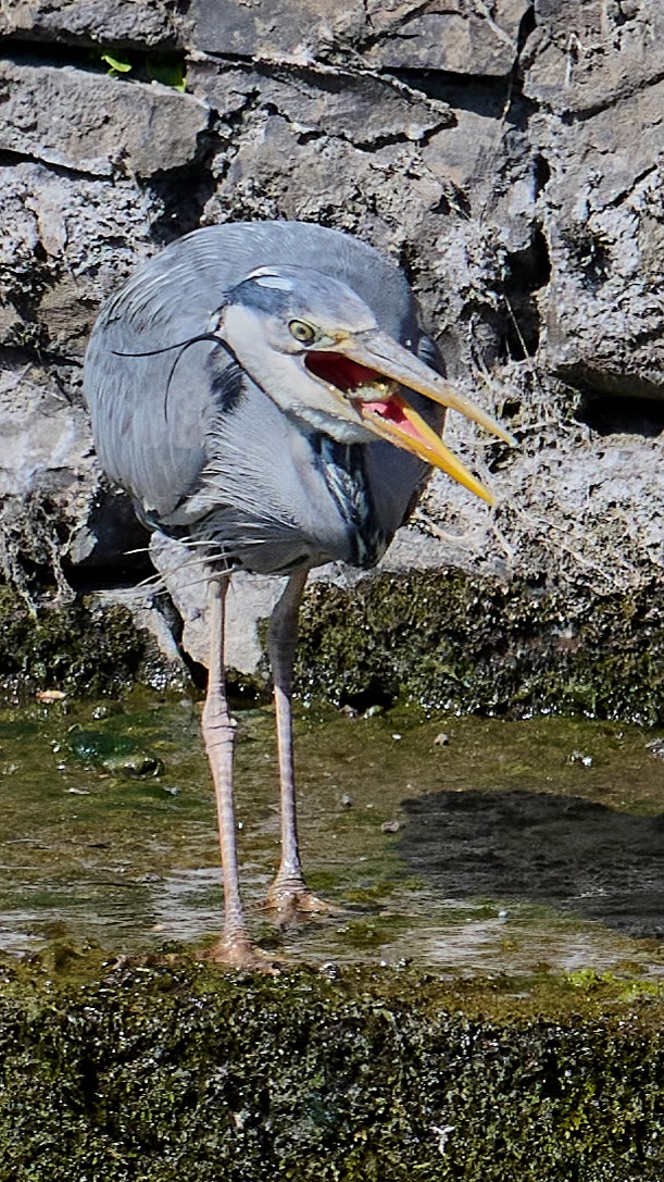 Down the hatch.