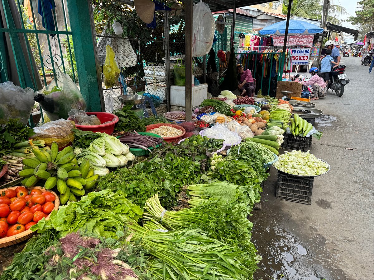 🌱 New #paper on "The hidden #cultural impact of climate-driven #foodsecurity threats to #landscapes" - #OpenAccess on <a href="/CellReports/">Cell Reports</a> #Sustainability

doi.org/10.1016/j.crsu…

More information in the comments 👇

<a href="/UNI_FIRENZE/">Università di Firenze</a> <a href="/DagriUnifi/">DAGRI - UNIFI</a> <a href="/WHLab_Unifi/">Water Harvesting Lab UNIFI</a>