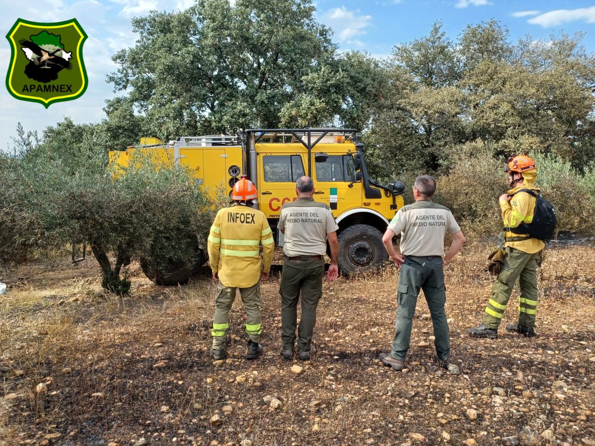 APAMNEX (@apamnex1) on Twitter photo 13 incendios forestales ayer en Extremadura!!! 13!!! Y l@s #AMN sin guardias!!! <a href="/MundoRural_EXT/">Consejería de Gestión Forestal y Mundo Rural</a> <a href="/agriculturaEXT/">Agricultura, Ganadería y Desarrollo Sostenible</a> <a href="/PLANINFOEX/">INFOEX</a> os valéis de la profesionalidad y del buen hacer del colectivo!!! Allí estuvimos, sin EPIs!!! ⤵️⤵️ 13 incendios forestales ayer en Extremadura!!! 13!!! Y l@s #AMN sin guardias!!! <a href="/MundoRural_EXT/">Consejería de Gestión Forestal y Mundo Rural</a> <a href="/agriculturaEXT/">Agricultura, Ganadería y Desarrollo Sostenible</a> <a href="/PLANINFOEX/">INFOEX</a> os valéis de la profesionalidad y del buen hacer del colectivo!!! Allí estuvimos, sin EPIs!!! ⤵️⤵️