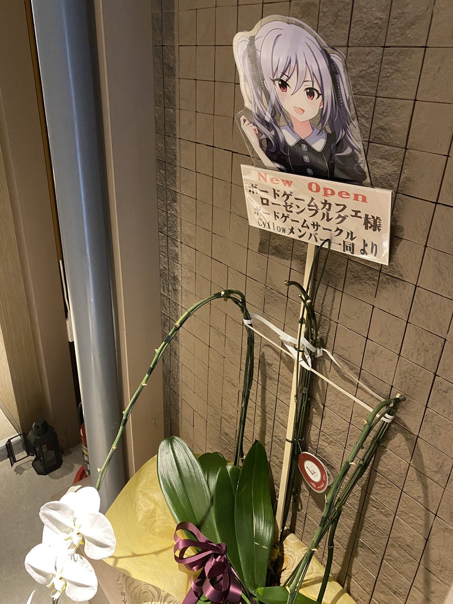 SUZDALmrasa's tweet photo. 川越にあるボードゲームカフェ　ローゼンブルグ様(@bgc_rosenburg)におじゃましました〜。
蘭子ちゃんがモチーフになってるという事でミステリアスと川越の和が合わさったとても良きボドゲカフェでした☕️
アイアラやカルカソンヌ等の有名ボドゲはもちろん、アイマスボドゲも手厚く取り扱ってました🙃 https://t.co/ePzKPLeJPq