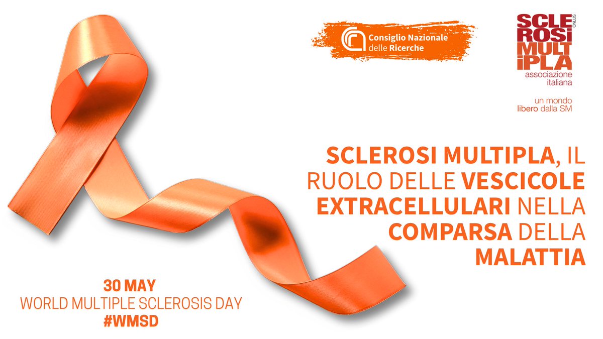 CNR Consiglio Nazionale delle Ricerche (@cnrsocial_) on Twitter photo #30maggio #GiornataMondialeSclerosiMultipla
Uno studio di #Cnr_Ieomi e <a href="/UninaIT/">Unina Federico II</a>, finanziato da <a href="/aism_nazionale/">AISM - Associazione Italiana Sclerosi Multipla</a>, svela come le vescicole extracellulari (piccolissime entità biologiche) mostrano un grande potenziale nella malattia
Leggi👇
cnr.it/it/nota-stampa…
#WorldMSDay #WMSD #30maggio #GiornataMondialeSclerosiMultipla
Uno studio di #Cnr_Ieomi e <a href="/UninaIT/">Unina Federico II</a>, finanziato da <a href="/aism_nazionale/">AISM - Associazione Italiana Sclerosi Multipla</a>, svela come le vescicole extracellulari (piccolissime entità biologiche) mostrano un grande potenziale nella malattia
Leggi👇
cnr.it/it/nota-stampa…
#WorldMSDay #WMSD