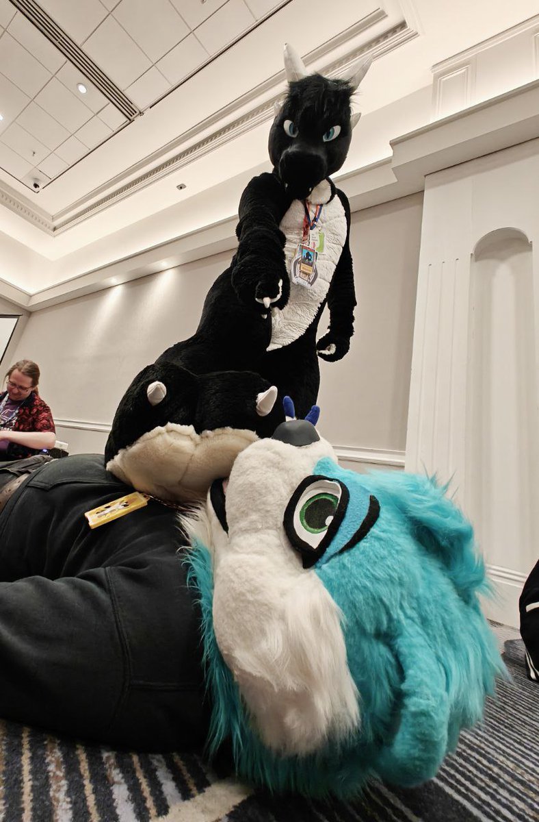 So somehow, I ended up being put underneath <a href="/DragonRaketh/">Raketh</a>'s paws 🐾 
#FursuitFriday 
📸 <a href="/Kaiyo_Wulfstar/">K A i Y O</a>