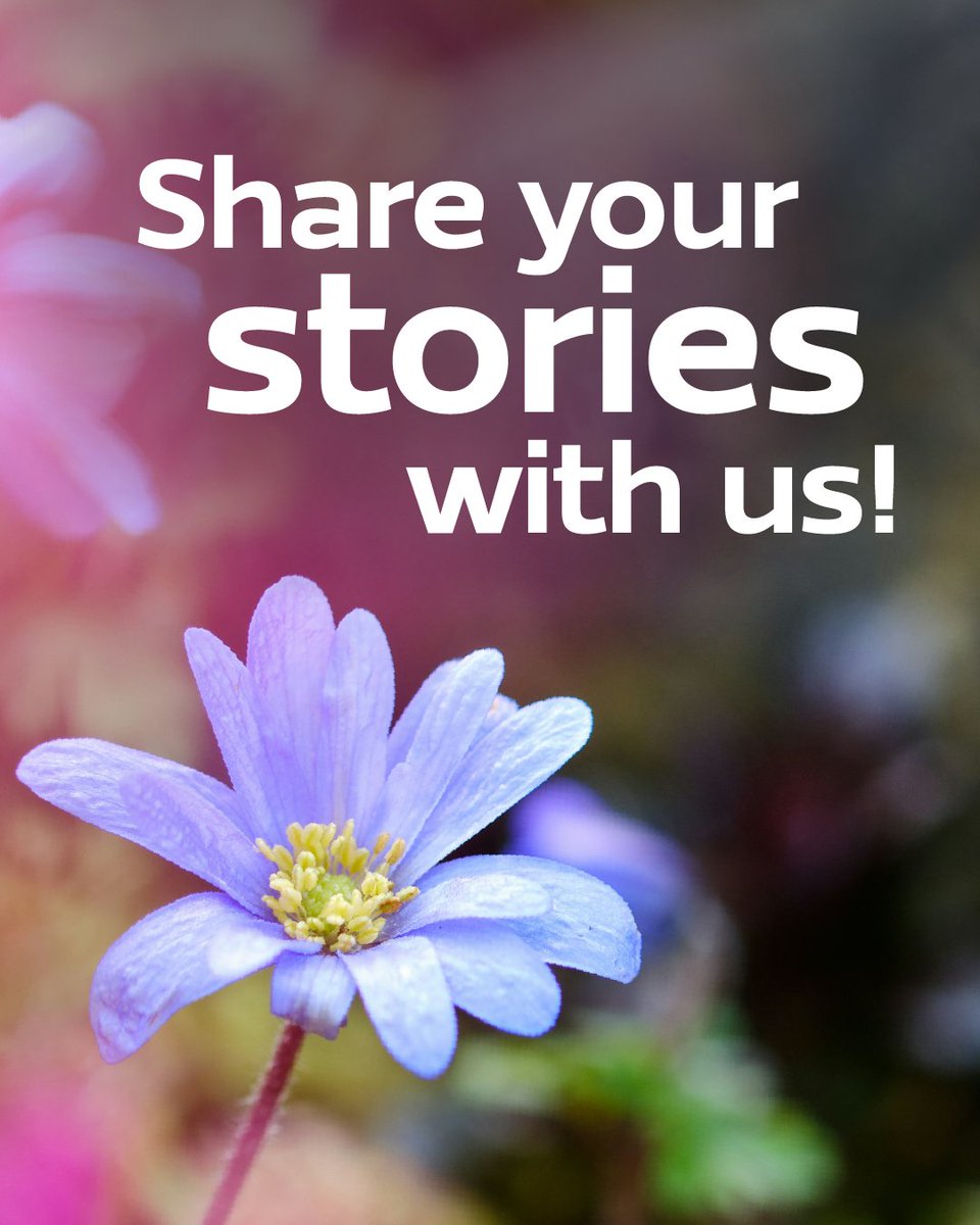 We’d love to hear from you 🌍💬

Have you been taking steps to care for God’s creation? Whether it’s something big or a small everyday change, your story matters.

Drop your experiences in the comments – you might just inspire someone else to do the same!