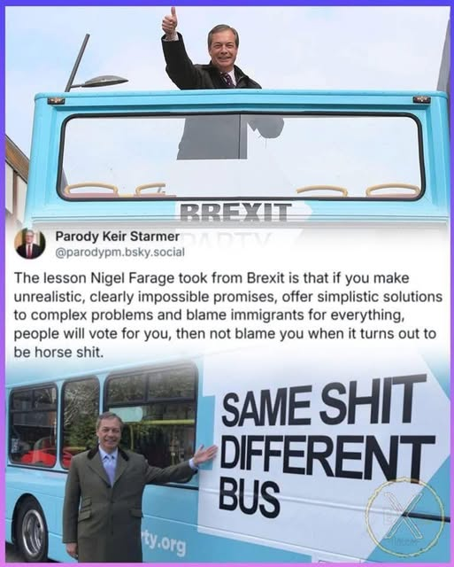 dave lawrence 🐟🐟🐠 tweet media