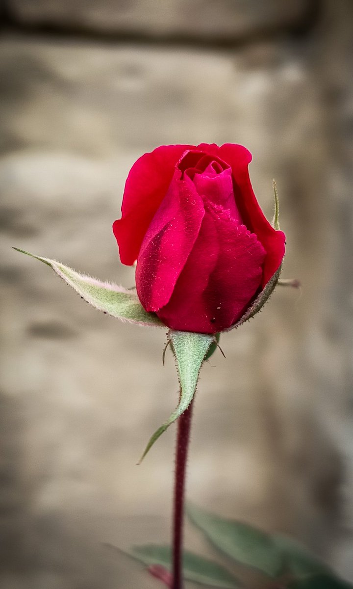 vip88d's tweet photo. Be Hopeful https://t.co/G3txB39MCG