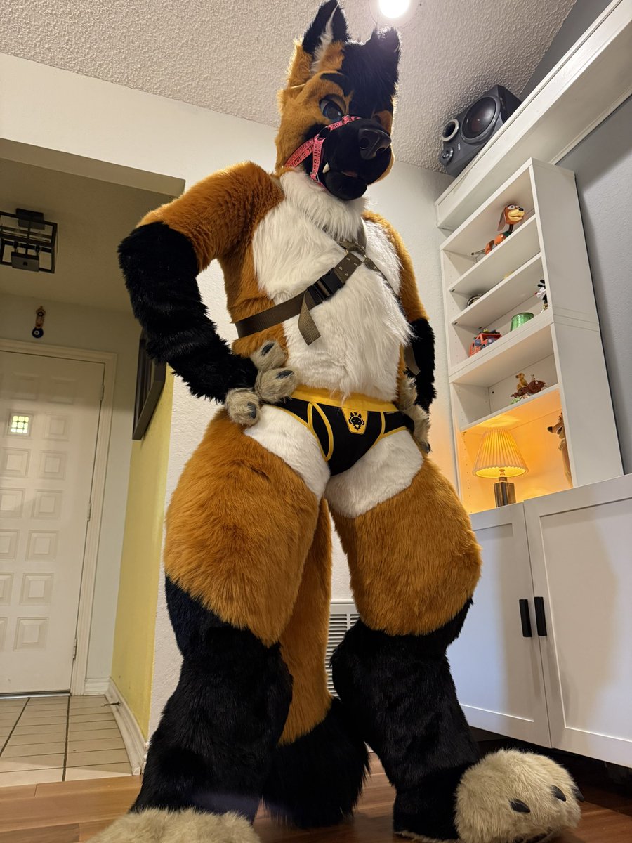 Happy #FursuitFriday ! Pic by <a href="/TigertheMeerkat/">Kit Kat</a> fursuit by <a href="/MadeFurYou/">Made Fur You</a>