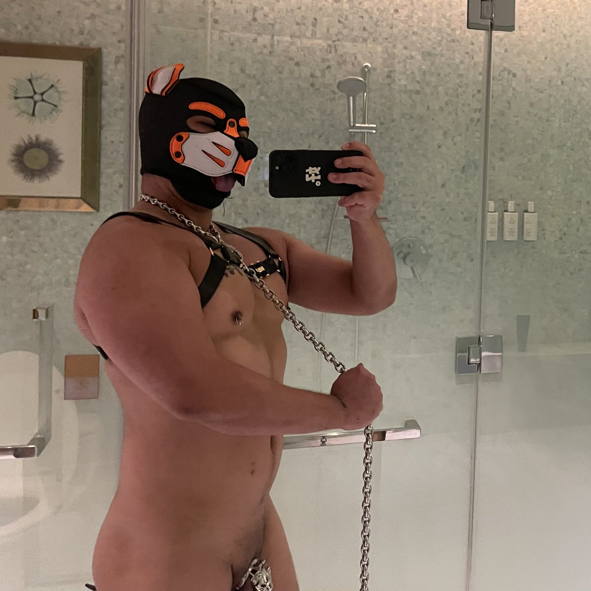 黑犬 (@blackdogs2020) on Twitter photo 