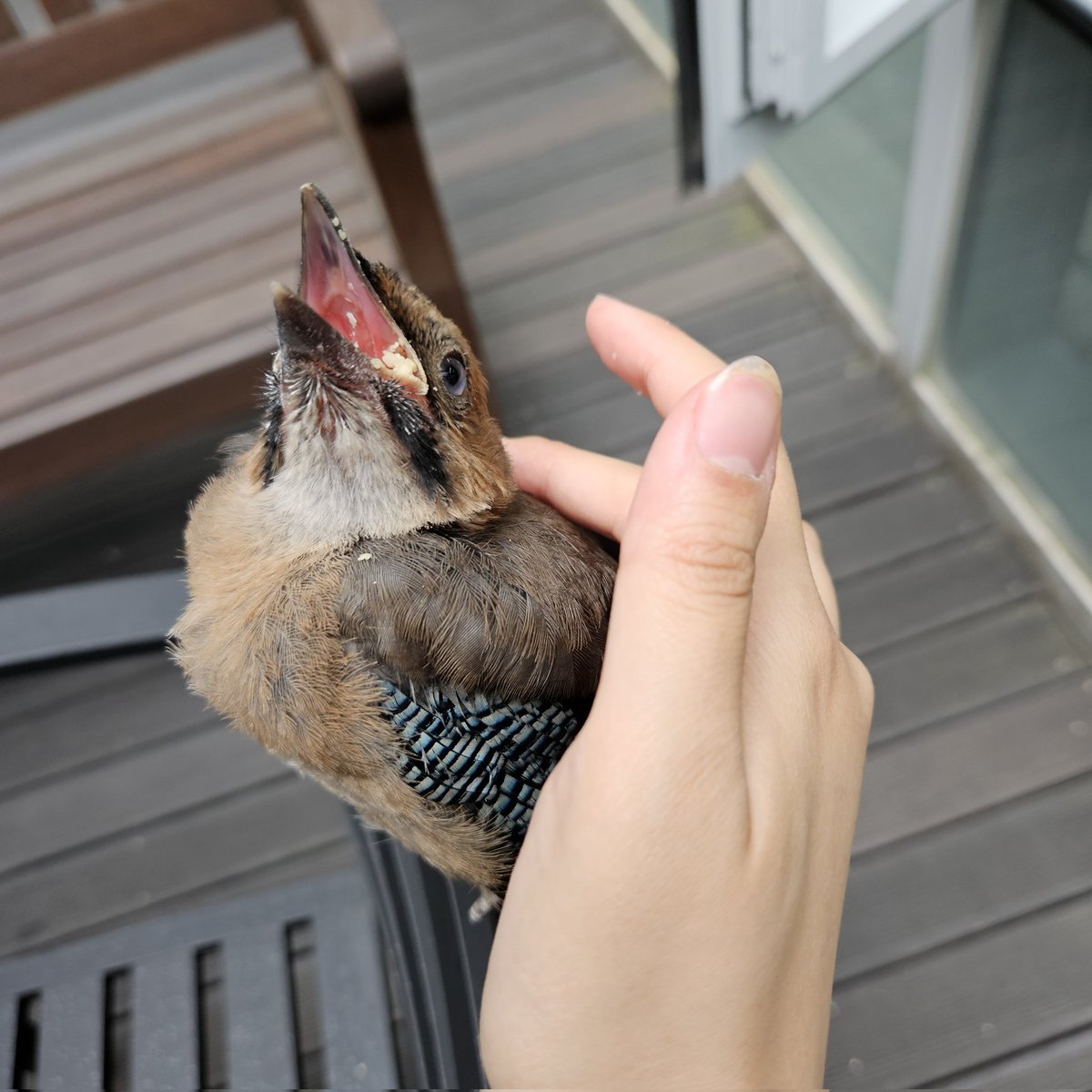 아어쩐지,,,
우리 초면인데 계속 밥달라고 부르더라