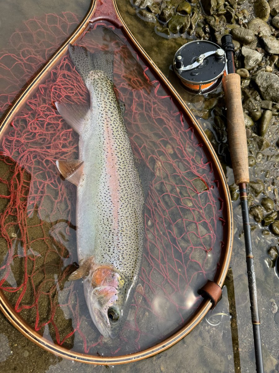 flyfishingとWrangler(キチガイ) tweet media