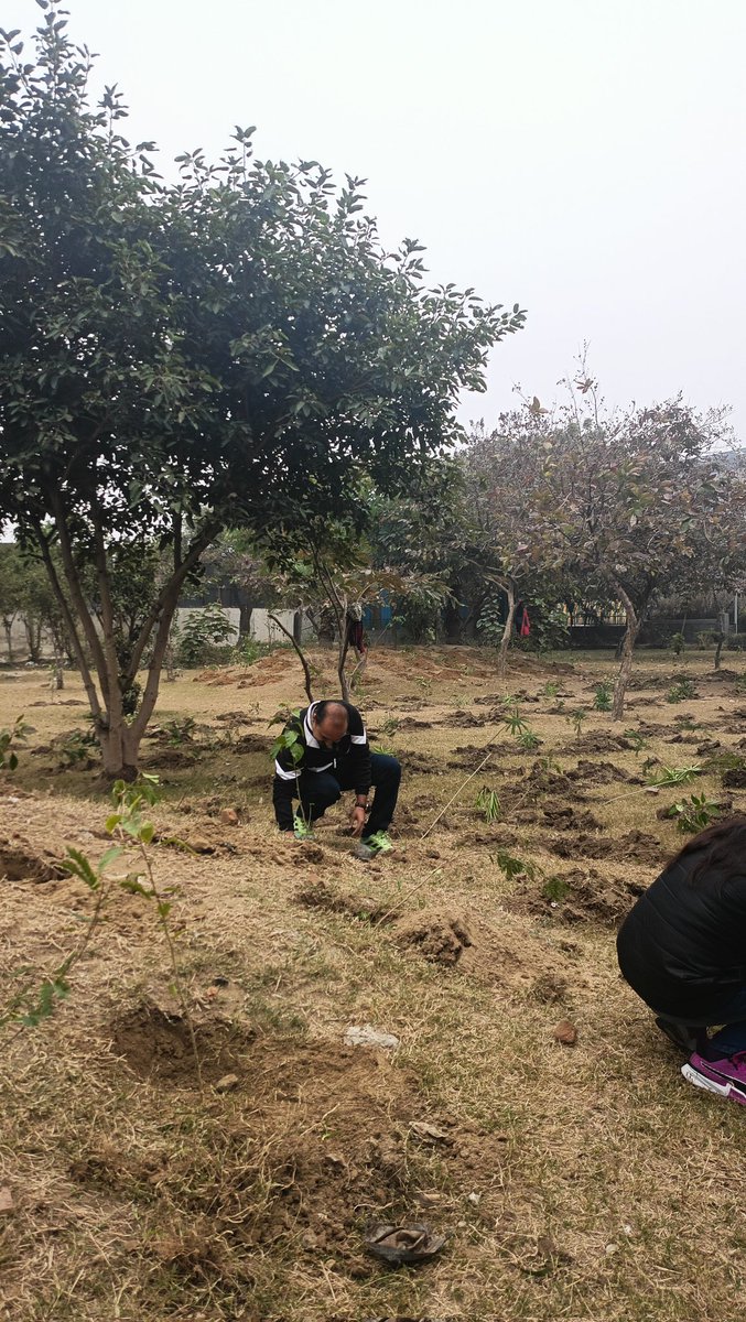 Compensatory Afforestation is just greenwashing. A 100-year-old tree’s ecological value can’t be replaced by a sapling. Let’s stop fooling ourselves with numbers and start valuing real forests.