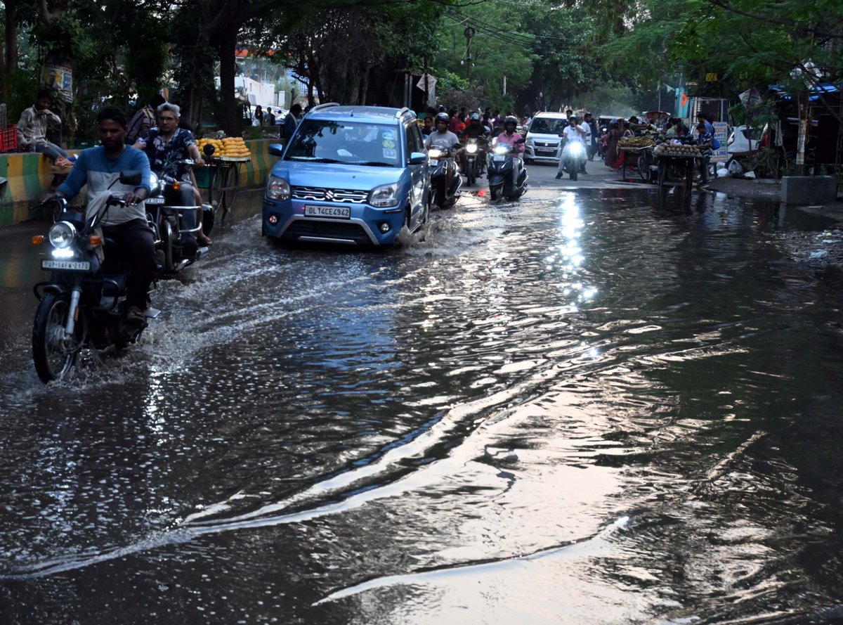 Ila Kirti tweet media