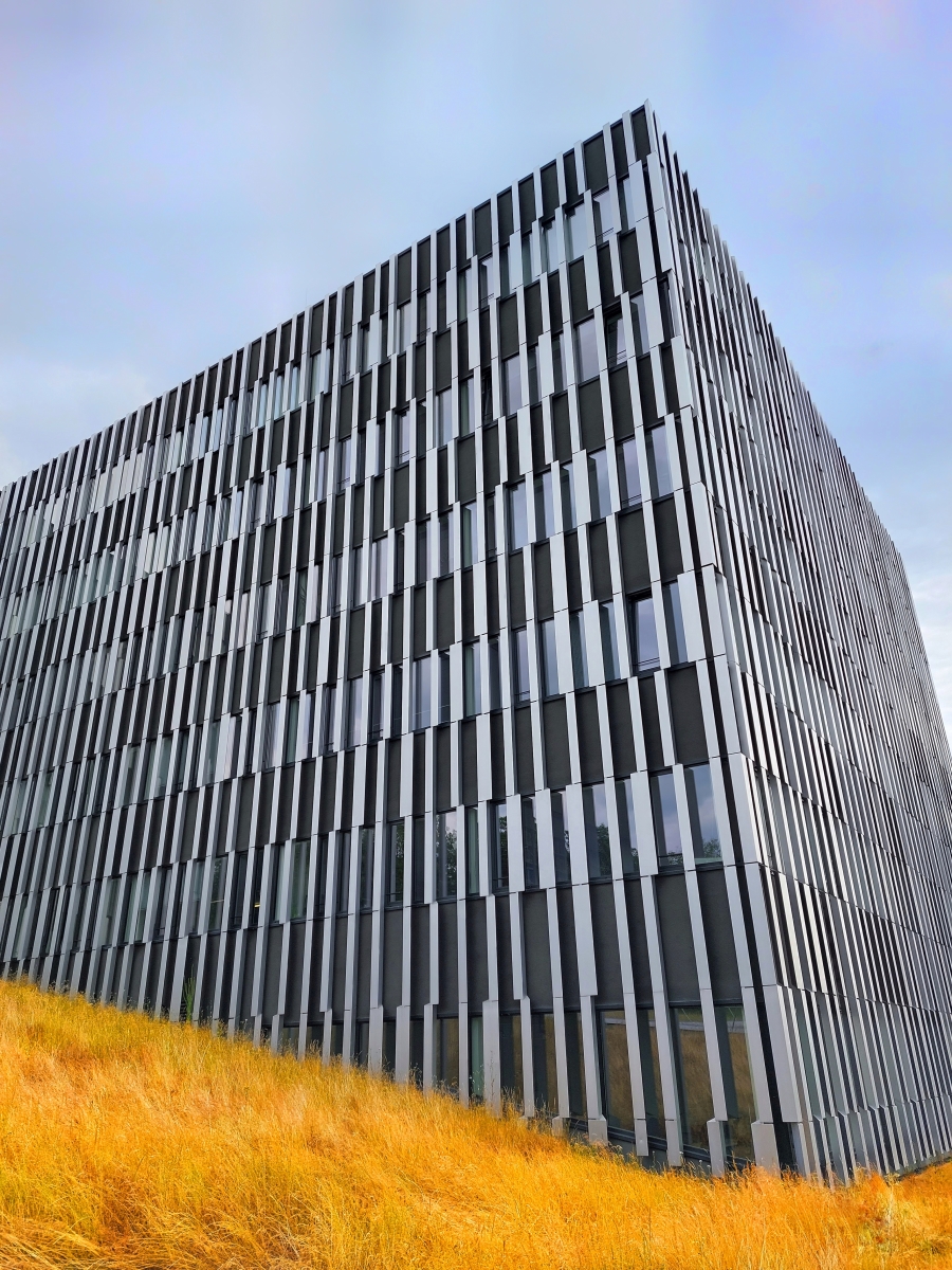 Dirk Schulte
Am Hang
2023