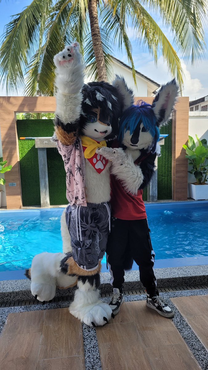 WolfwieTheWolfdog「狼颹/ウルフウィー」 (@wolfdogwolfwie) on Twitter photo アイドルポーズの練習!
🦊 : <a href="/BleuSnowiepaws/">Jayden Snow (Bleu Snowiepaws) 🔞</a>
📷: <a href="/jameswong1998/">James Tiger 🍎</a>
🪡🧵:<a href="/xiaoquandoki10/">Doki✧</a> <a href="/PuppyTales1010/">Puppy Tales Studio</a>
#FursuitFriday アイドルポーズの練習!
🦊 : <a href="/BleuSnowiepaws/">Jayden Snow (Bleu Snowiepaws) 🔞</a>
📷: <a href="/jameswong1998/">James Tiger 🍎</a>
🪡🧵:<a href="/xiaoquandoki10/">Doki✧</a> <a href="/PuppyTales1010/">Puppy Tales Studio</a>
#FursuitFriday