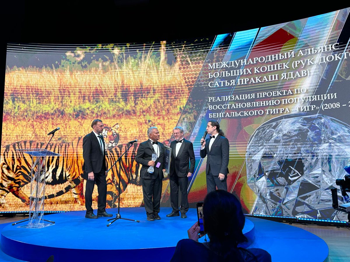 IBCA_official's tweet image. Dr @SPYadavIFS, Director General, IBCA, was conferred with the International #CrystalCompassAward by the Russian Geographical Society @rgo_ru, for his leadership &amp;amp; contribution in success of #ProjectTiger 🇮🇳, in a grand ceremony at #Moscow on 29 May, 2025! 

Dr Yadav said that…