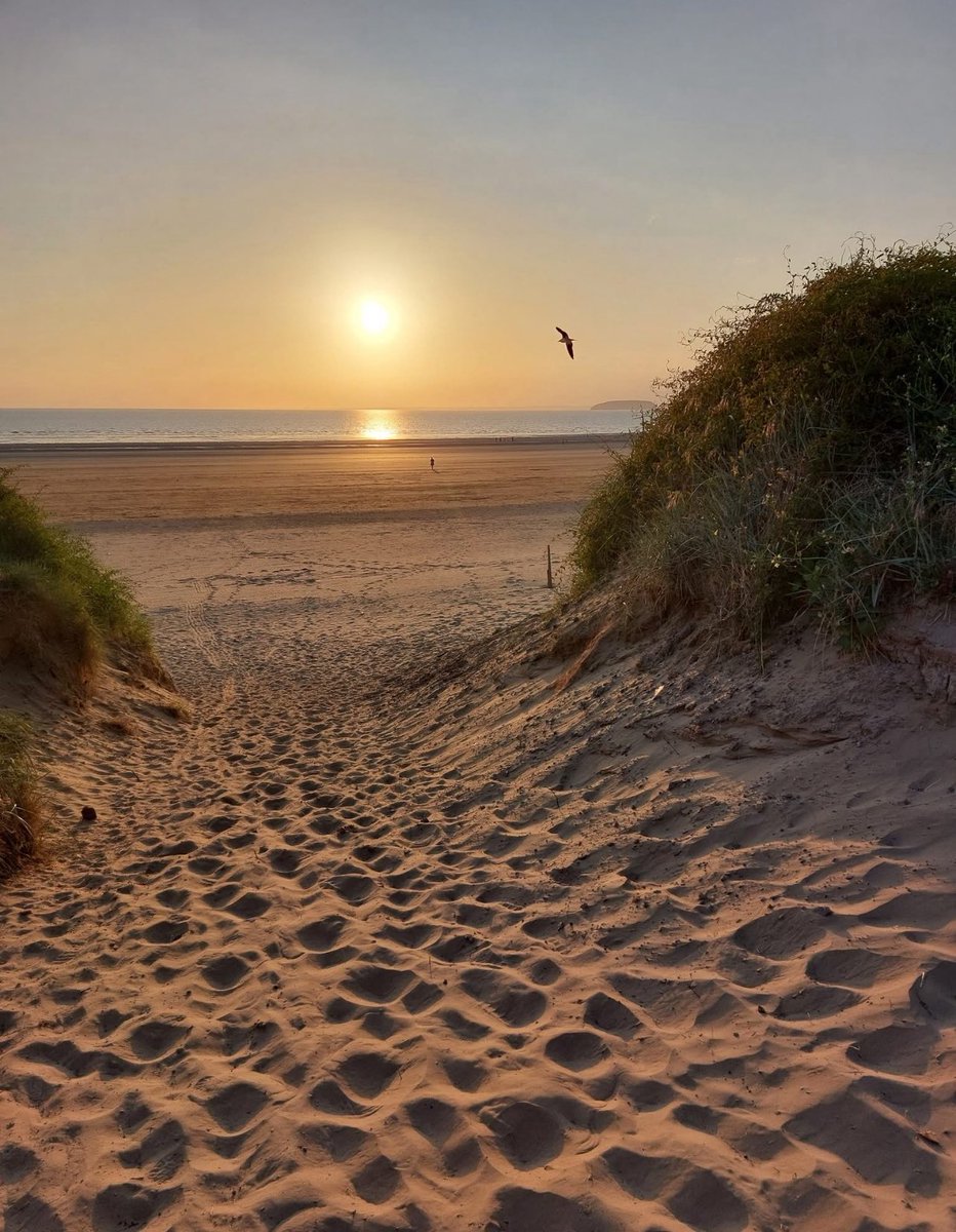 chilternbear11's tweet photo. #Berrow #Somerset last night : https://t.co/kLcNx10dsr