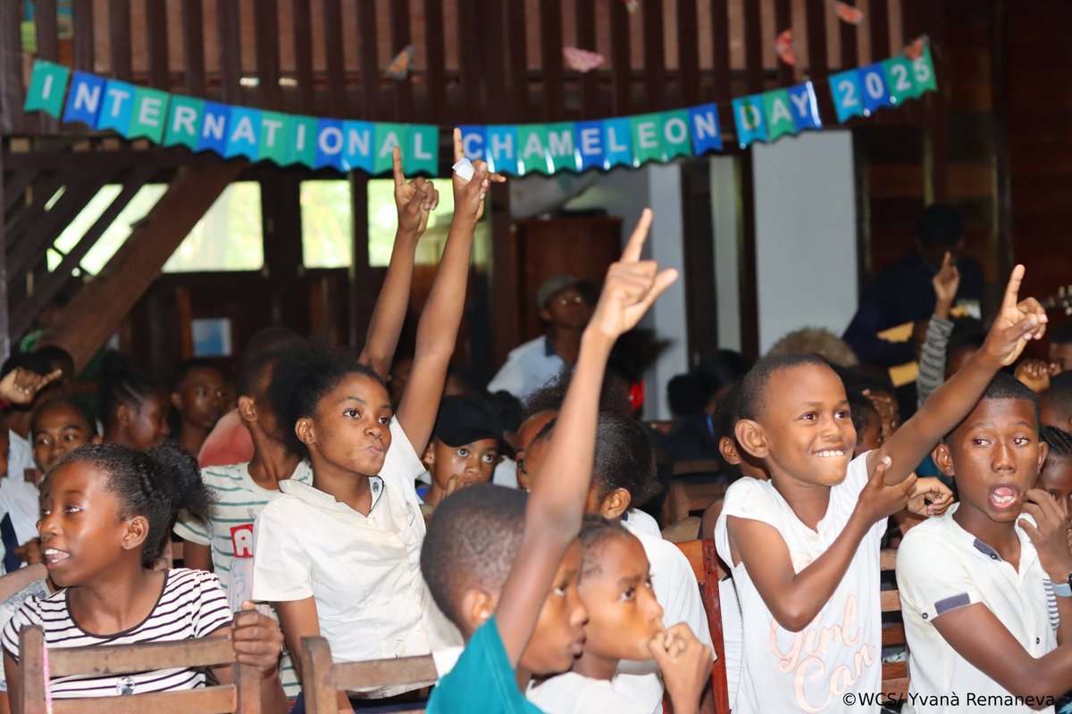 WCS_Mada's tweet image. WCS Madagascar celebrated Chameleon Day on May 17 in Maroantsetra with our youngsters through a vibrant carnival, cameleon projections, games and learning !
#celebration #internationalcameleonsday2025 #WeStandForWildlife