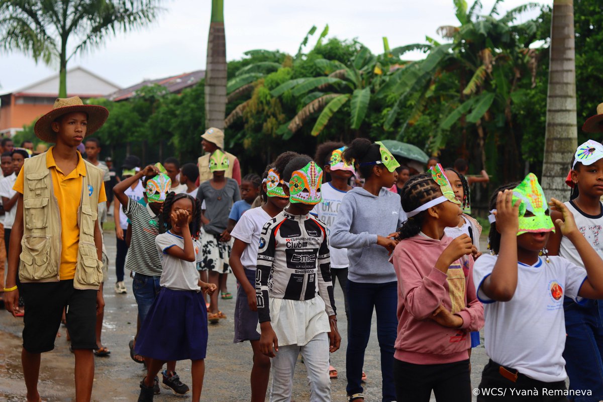 WCS_Mada's tweet image. WCS Madagascar celebrated Chameleon Day on May 17 in Maroantsetra with our youngsters through a vibrant carnival, cameleon projections, games and learning !
#celebration #internationalcameleonsday2025 #WeStandForWildlife