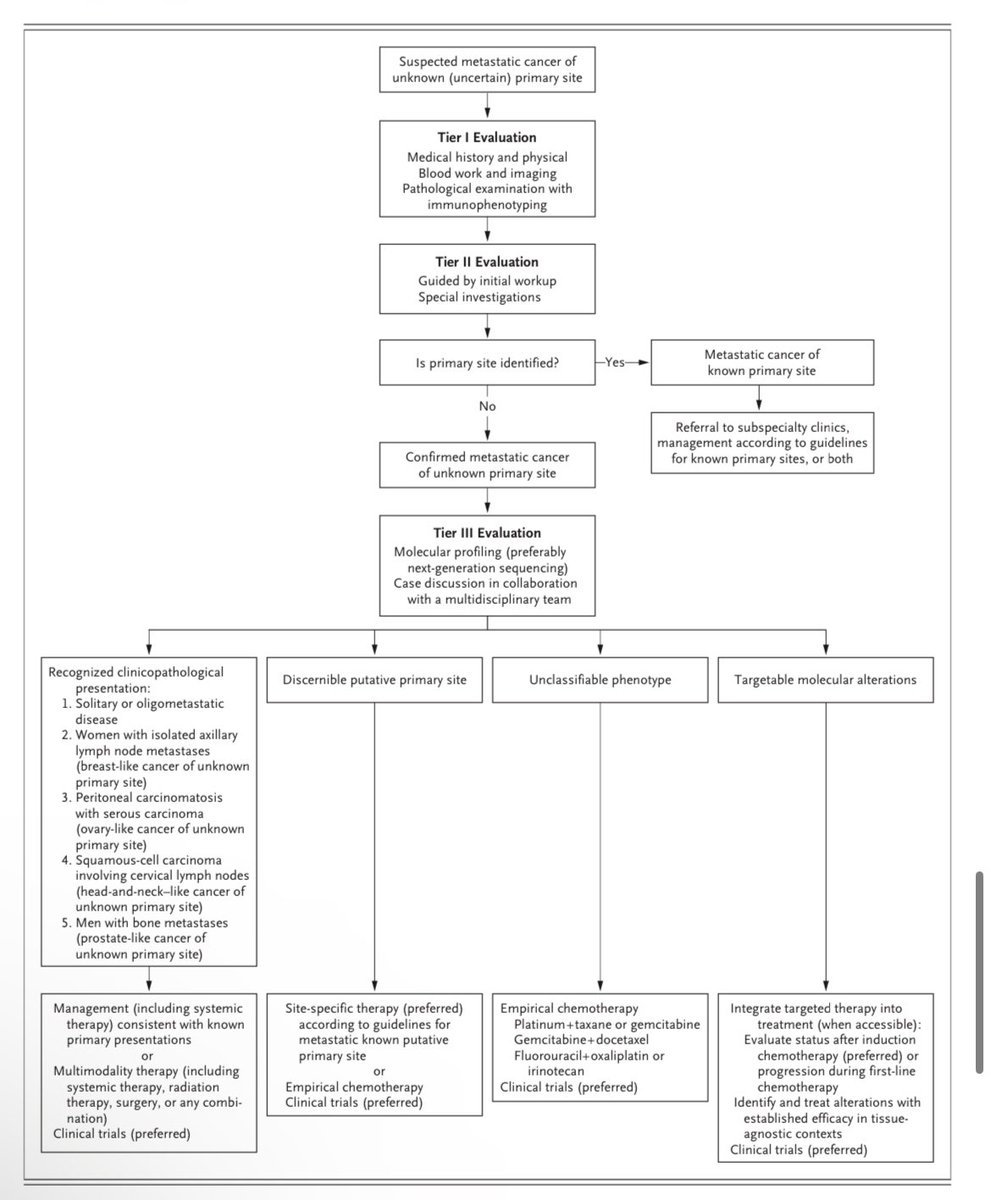 Erman_Akkus's tweet photo. 🔬Cancer of Unknown Primary
@NEJM 

✅Excellent review with diagnostic/management algorithm

👉https://t.co/PR67SDADvZ

@OncoAlert @weoncologists #cancer #oncology #MedX #ASCO25 https://t.co/nENTEErAHU