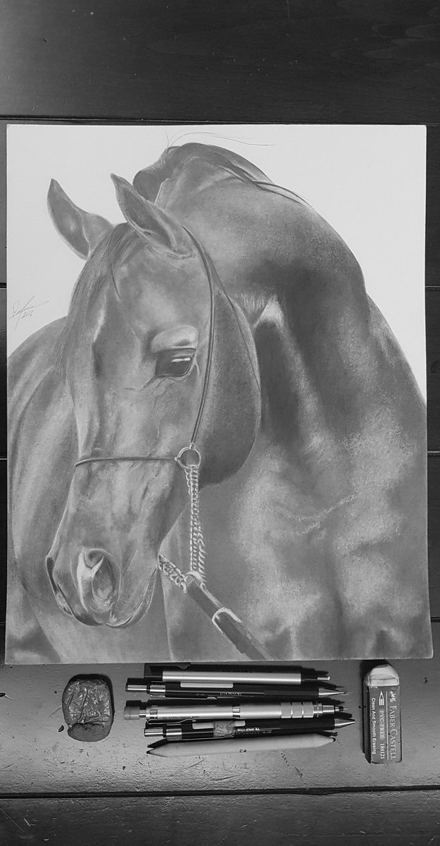 GhamdiReema's tweet photo. @alamalrsm بمناسبة فعالية هذا الأسبوع "رسم الحصان"، حبيت أشارككم هذي الرسمة اللي رسمتها عام 2018. مع إنها رسمة قديمة، الا انها من الرسومات المفضلة عندي 🤍 أتذكر اني طولت فيها شوي لكنها كانت تجربة ممتعة 🤍🐎

#فعالية_رسم_الحصان #فن #رسم https://t.co/nIGBWiHcTv