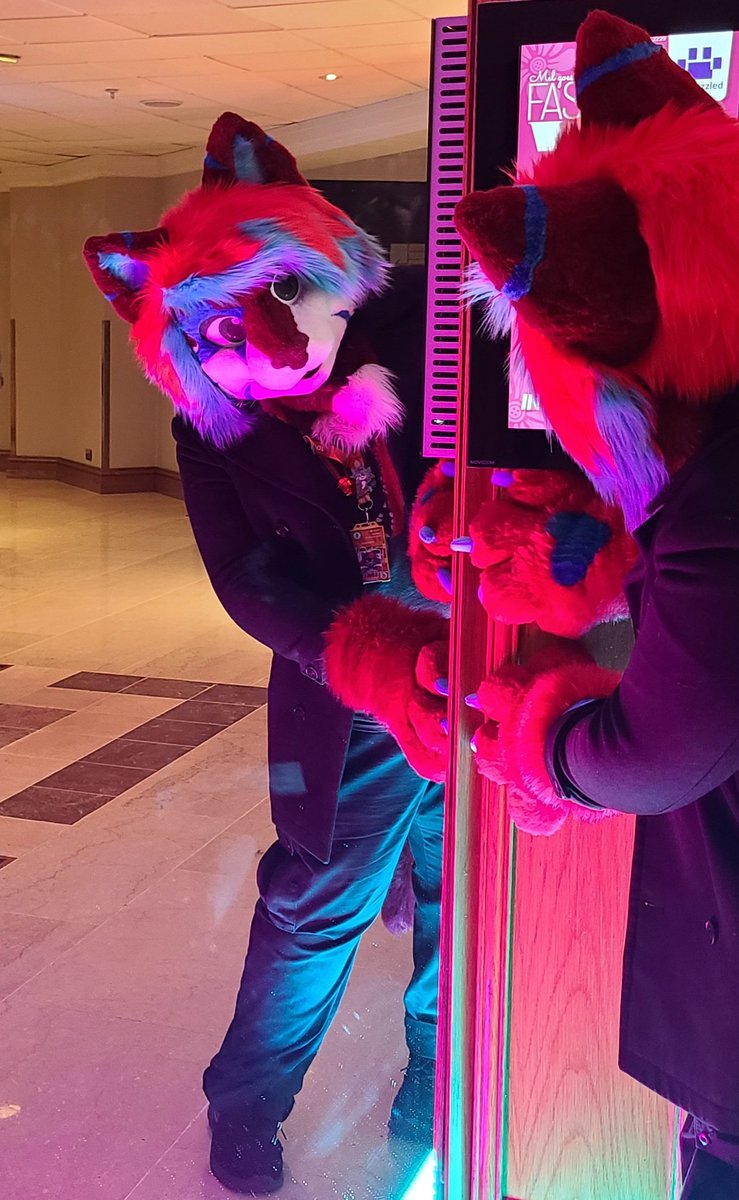 "Who? Where? Why?"

A very confused Cat saw his own reflection in the Corridor of Mirrors at the Hilton this year and just HAD to investigate! 👀

Head by <a href="/GoFurItstudios/">Go Fur It</a> 💜
Paw Pattern from <a href="/Kloofsuits/">Kloofsuits</a>
#FursuitFriday #CFz25