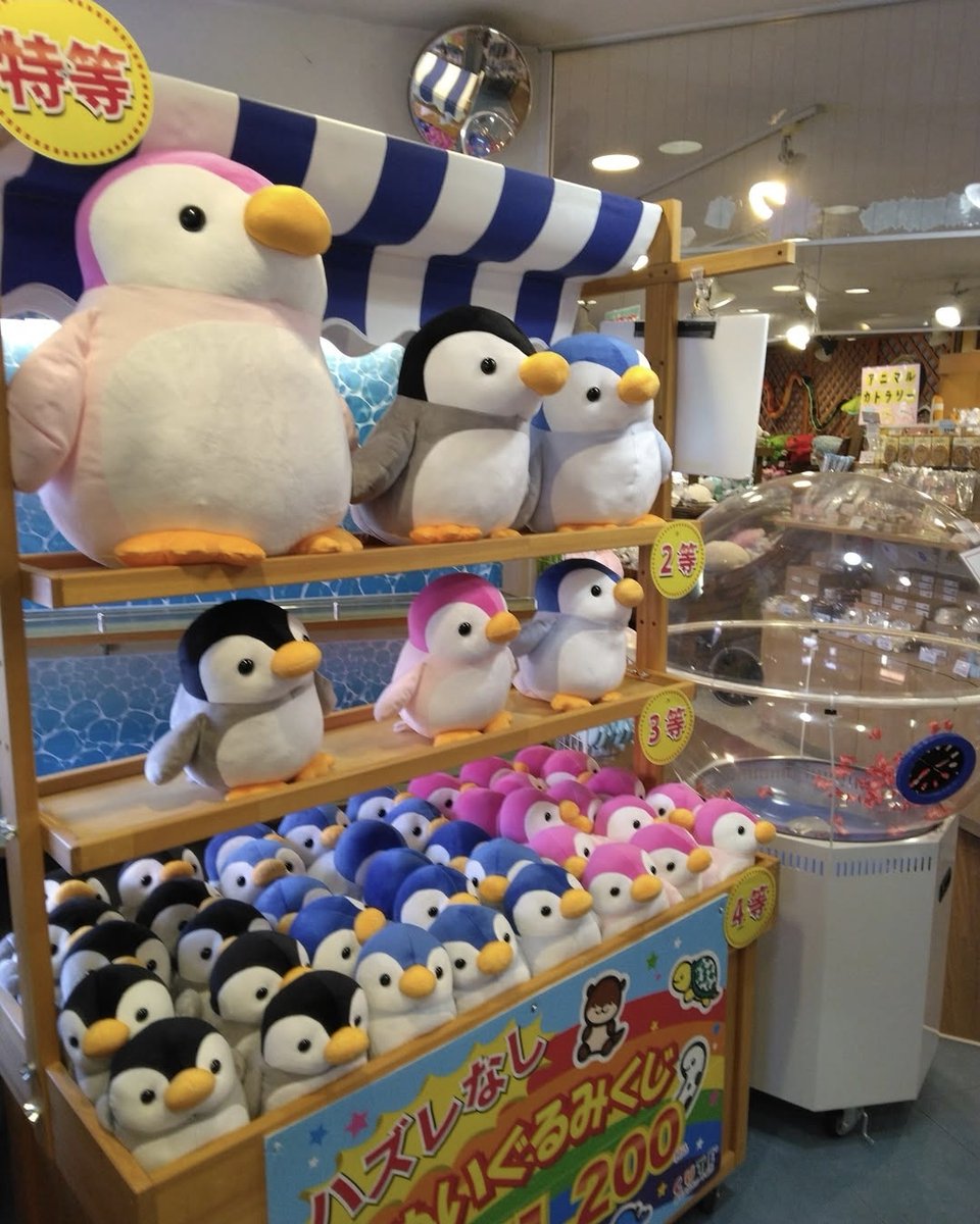 大人気 ペンギンくじ❗️❗️❗️ 6月1日から売店リトルビッキーにて