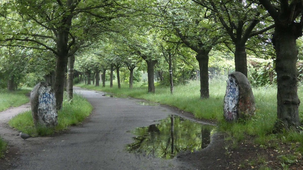 CMlerBerlin's tweet image. Tropfen auf dem feuchten #Mauerweg #Mauerradweg