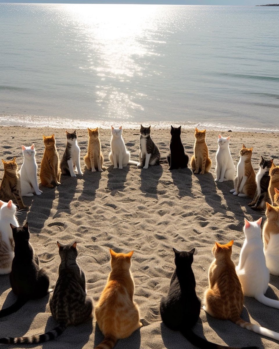 imranmalik4768's tweet photo. The assembly of cats is considering consuming all the sea's fish and marine mammals, including cod and dolphins #Catconference https://t.co/5M2b42oNrq
