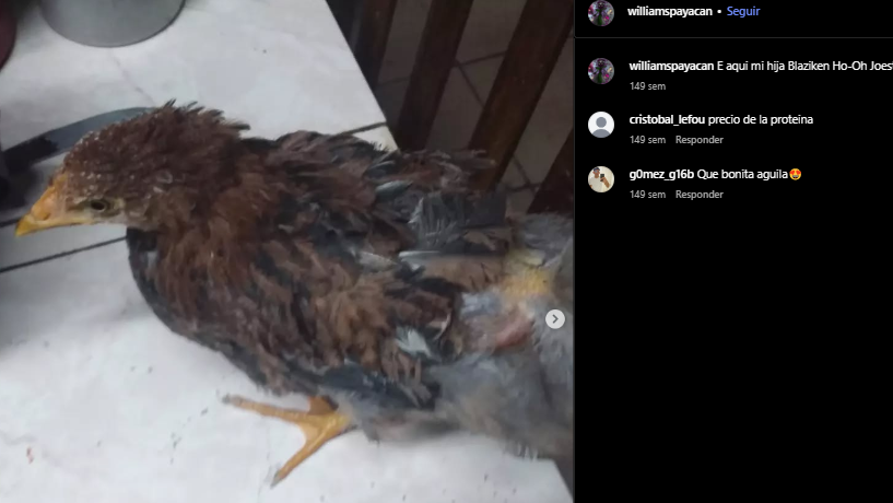 Vicari 🇭🇹 tweet media