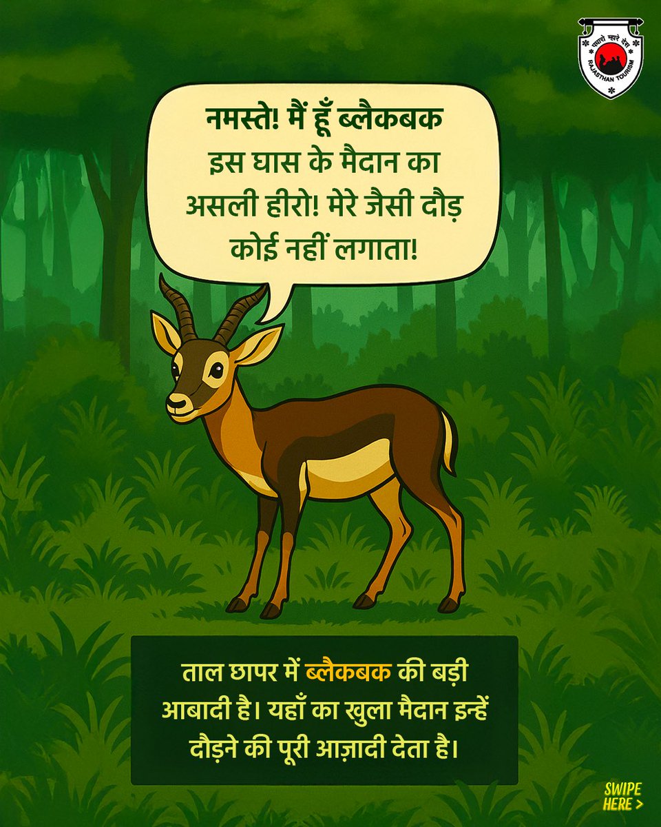 my_rajasthan's tweet photo. Tal Chhapar Sanctuary is a serene grassland haven where blackbucks roam free and eagles rule the skies.

@ForestRajasthan @tourismgoi 
#TalChhaparSanctuary #TalChhapar #RajasthanWildlife #ExploreRajasthan #Rajasthan #RajasthanTourism

(1/3) https://t.co/GJodEupqAH