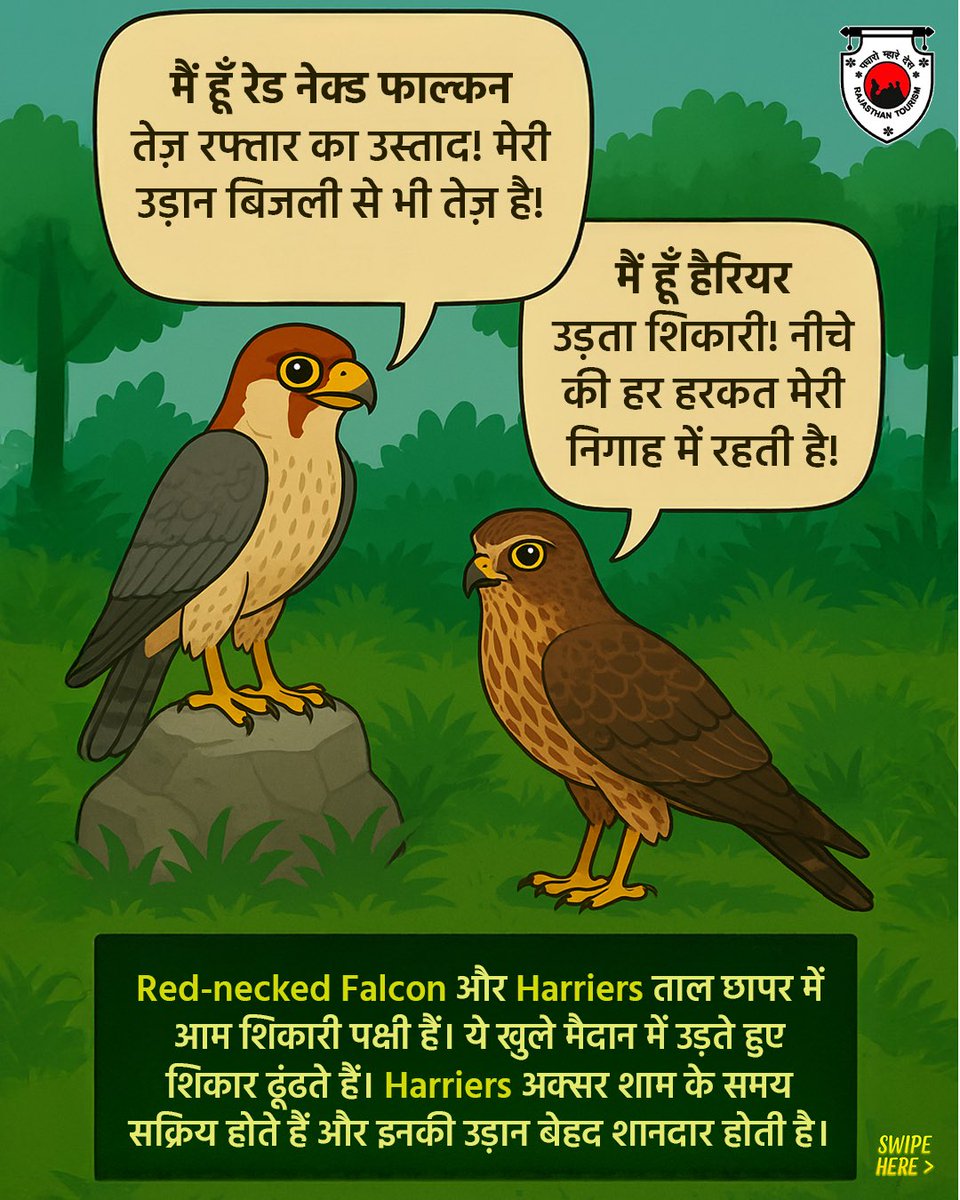 my_rajasthan's tweet photo. Discover Rajasthan’s wild elegance, far from the beaten path.

#TalChhaparSanctuary #TalChhapar #RajasthanWildlife #ExploreRajasthan #Rajasthan #RajasthanTourism

(3/3) https://t.co/5PYsAOdZar