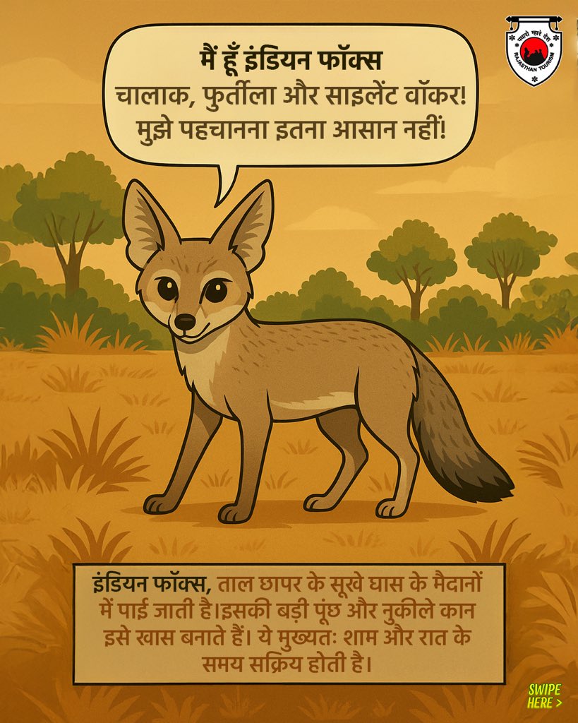 my_rajasthan's tweet photo. The Sanctuary is a shelter for rare wildlife in a tranquil, open landscape. The golden plains come alive at dawn, offering breathtaking views and quiet encounters with nature.

#TalChhaparSanctuary #TalChhapar #RajasthanWildlife #Rajasthan #RajasthanTourism

(2/3) https://t.co/gp8mHv61bV