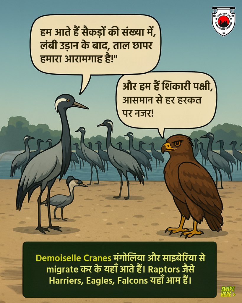 my_rajasthan's tweet photo. The Sanctuary is a shelter for rare wildlife in a tranquil, open landscape. The golden plains come alive at dawn, offering breathtaking views and quiet encounters with nature.

#TalChhaparSanctuary #TalChhapar #RajasthanWildlife #Rajasthan #RajasthanTourism

(2/3) https://t.co/gp8mHv61bV