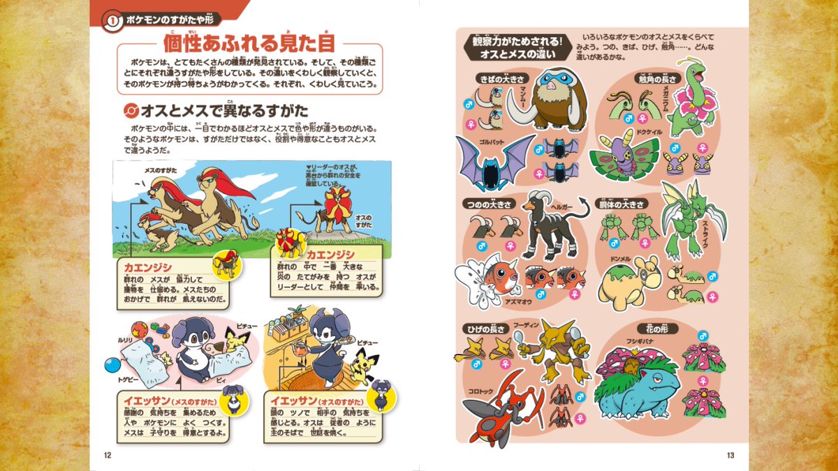 ポケモンたちの生態を紐解く「ポケモン生態図鑑」は 6月18日に発売予定