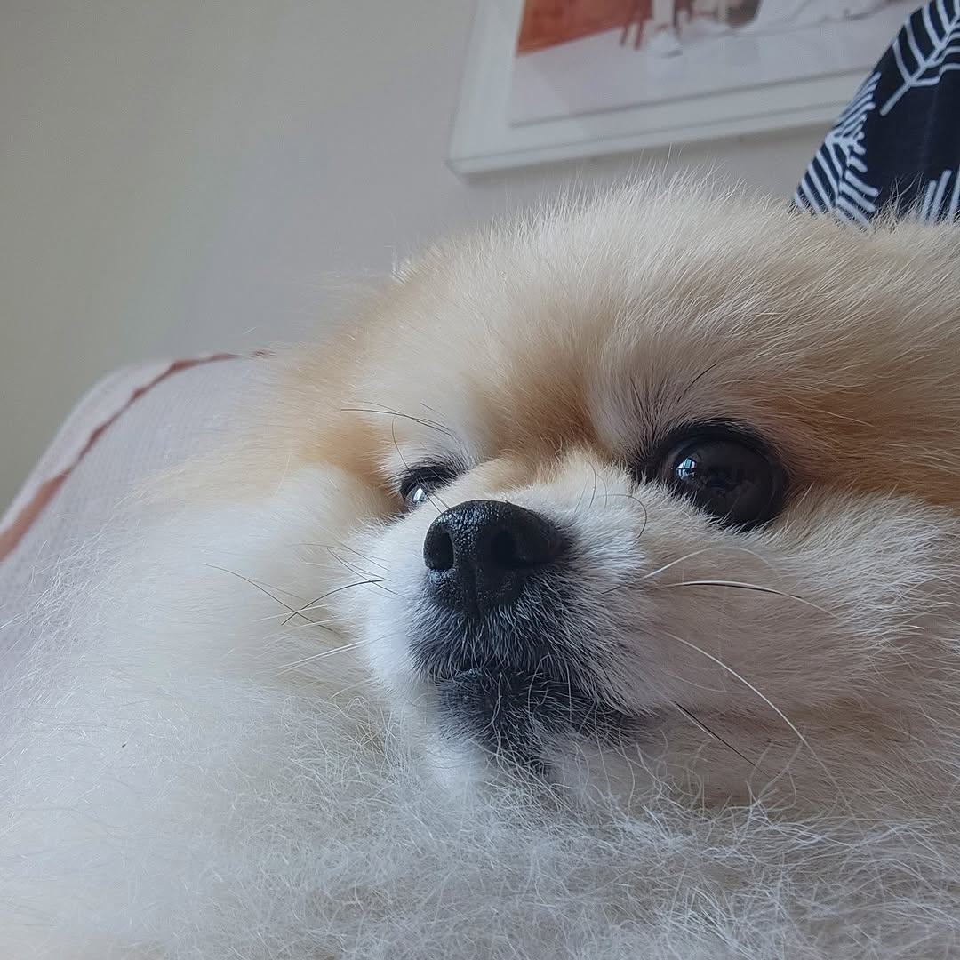 _                           투표.. 하셨둥니까?
                                              0
                                                  o
                                                     .